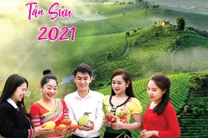 Báo Xuân Tân Sửu 2021