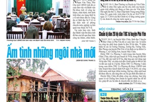 Báo Sơn La, Thứ 5 ngày 12-11-2015