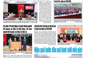 Báo Sơn La, Thứ 2 ngày 28-12-2015