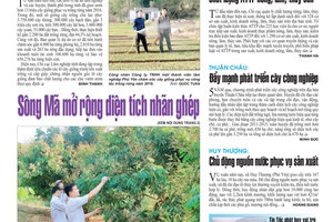 Báo Sơn La, Thứ 4 ngày 20-4-2016