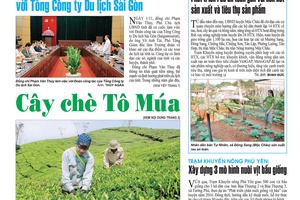 Báo Sơn La, Thứ 4 ngày 2-11-2016