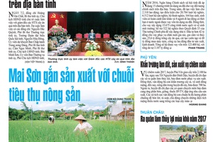 Báo Sơn La, Thứ 4 ngày 8-2-2017