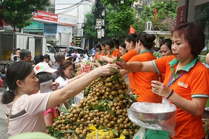 Nhãn Sơn La được mùa, được giá