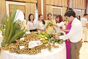 Sức bật vùng cây ăn quả trên cao nguyên Mộc Châu