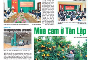 Báo Sơn La, Thứ 5 ngày 13/12/2018