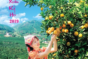 Báo Xuân Kỷ Hợi 2019