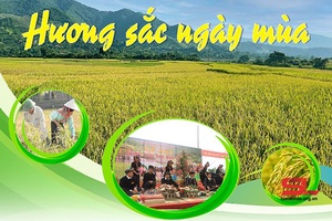 Hương sắc ngày mùa