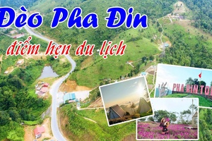 Đèo Pha Đin – điểm hẹn du lịch