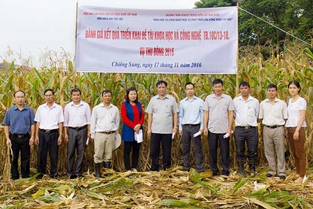 Ứng dụng công nghệ cao vào canh tác cây ngô